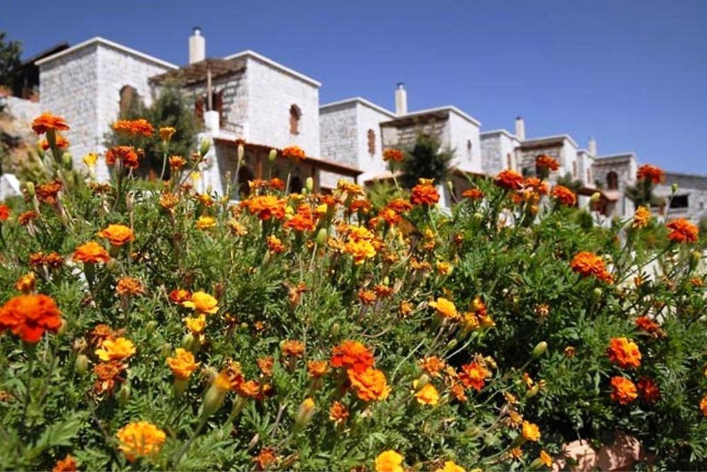 Lefkoritis Resort Askifou Sfakia Petrés Exteriér fotografie